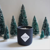 ILHA Plum Amber Candle