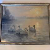 Swan Framed Print