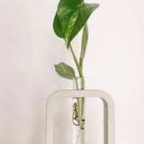 Cement rectangle pot plant