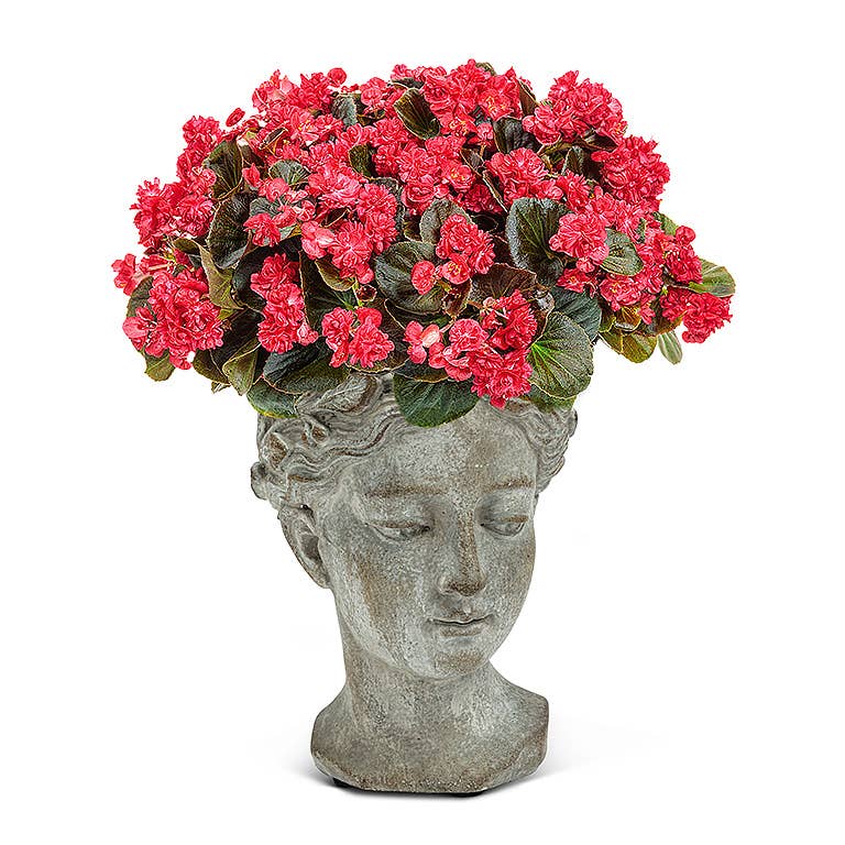 Xs Women Head Planter-6.5"H