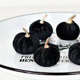 6 Black velvet 2in pumpkins w.golden stem