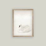 Swan Framed Antique Art