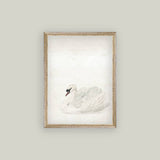 Swan Framed Antique Art