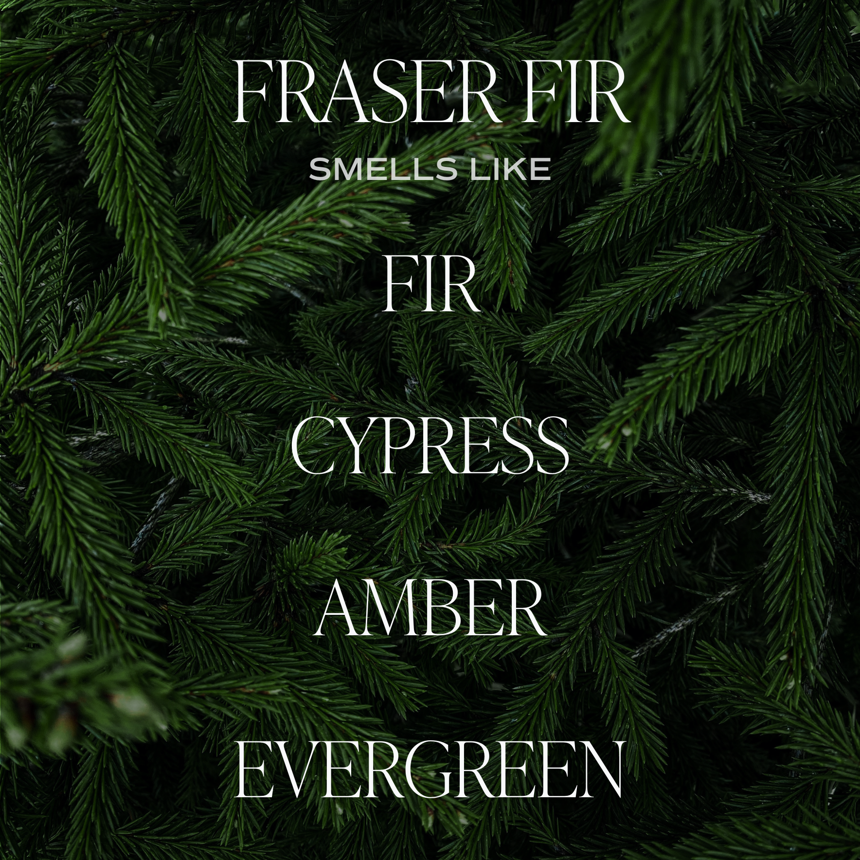 Fraser Fir 9 oz Soy Candle - Christmas Home Decor & Gifts
