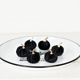 6 Black velvet 2in pumpkins w.golden stem