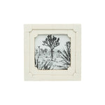White picture frame with a black and white nature scene inside on a white background