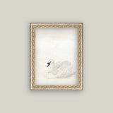 Swan Framed Antique Art
