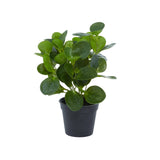 Traditional Green Faux Foliage Artificial Plant