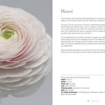 Ranunculus: Beautiful varieties for home and garden