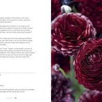 Ranunculus: Beautiful varieties for home and garden