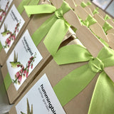 Scatter Garden | Hummingbird | Best Seller | Bird lovers