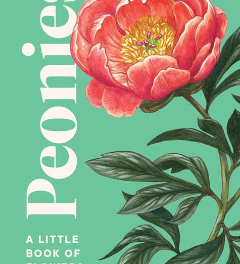 Peonies