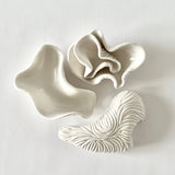 Shell Dish