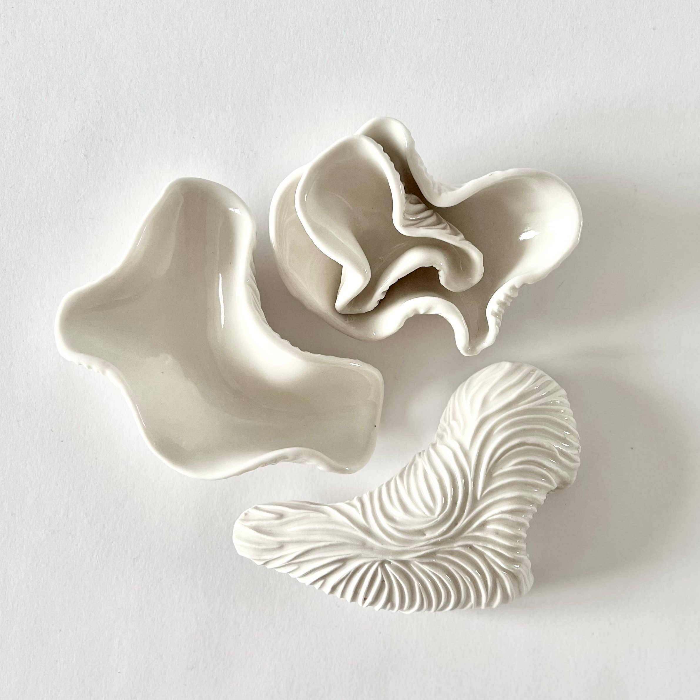 Shell Dish