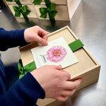 NEW Flower Cutting Garden Box | Spring | Mother's Day