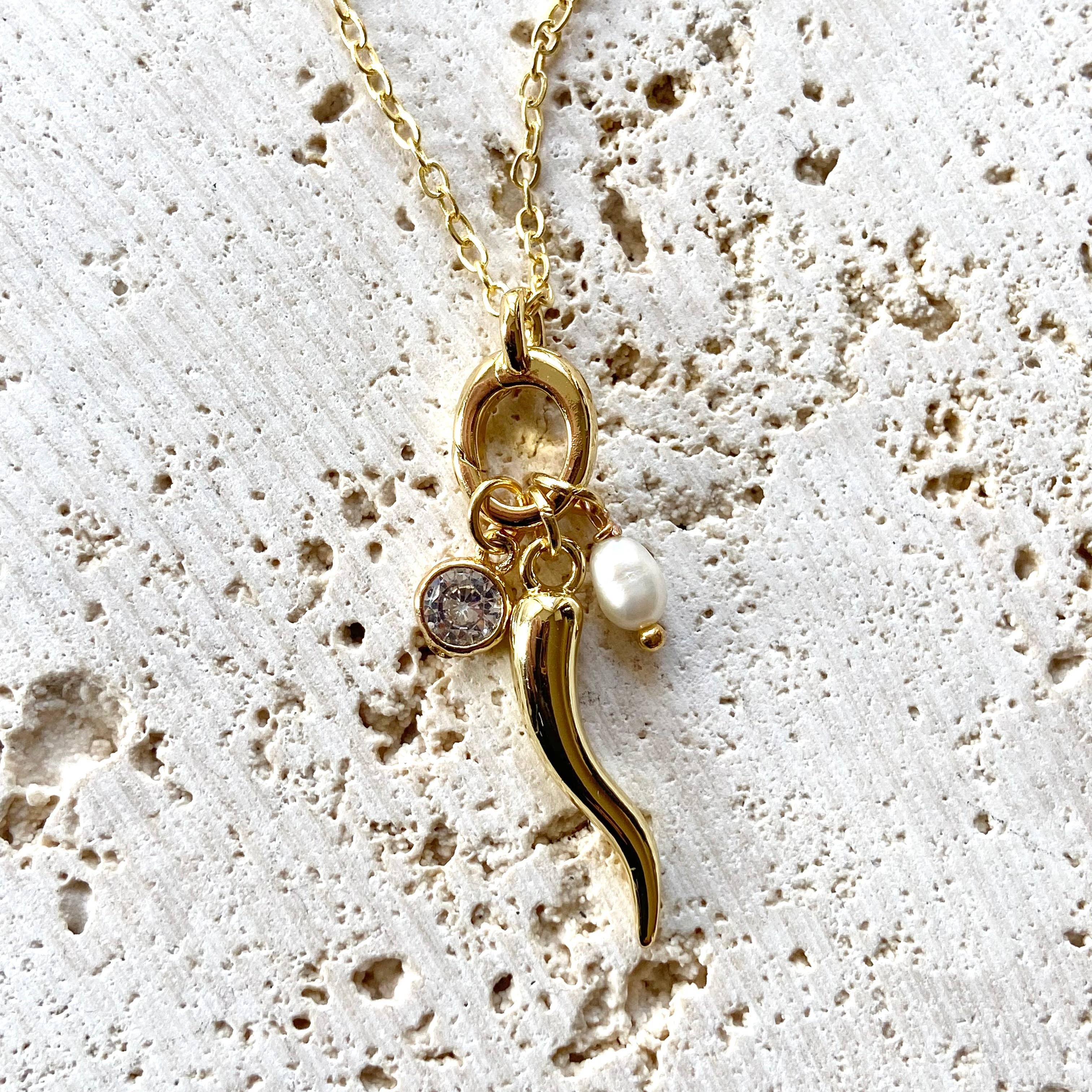 Italian horn necklace charm jewelry friendship luck