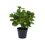 Traditional Green Faux Foliage Artificial Plant