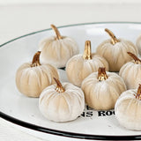 6 velvet 2in pumpkins with gold stem